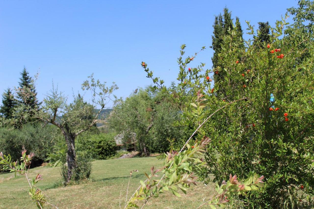 La Casa Di Eva Villa Castel Viscardo Exteriör bild